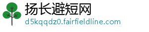扬长避短网